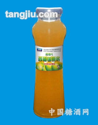 三九名范兒西番蓮原漿310ml