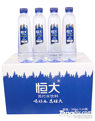 蘇打水500MLX24瓶