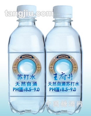 井天然自涌弱堿水塑料瓶裝333mL