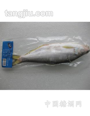 白力魚(yú)