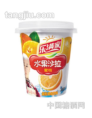 樂滿家蜜桔水果沙拉果粒果味飲料300g