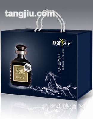 君領(lǐng)天下酒禮品裝（藍(lán)）100ml