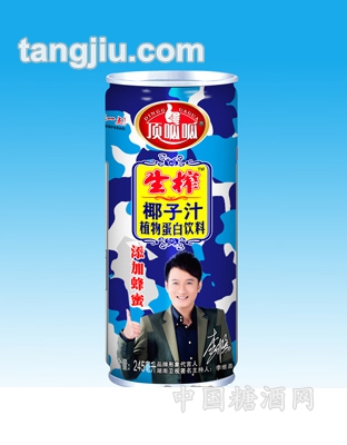 頂呱呱椰子汁易拉罐245ml