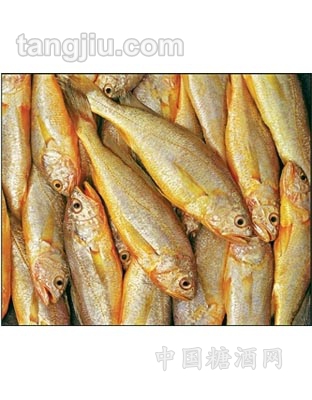 小黃魚(yú)