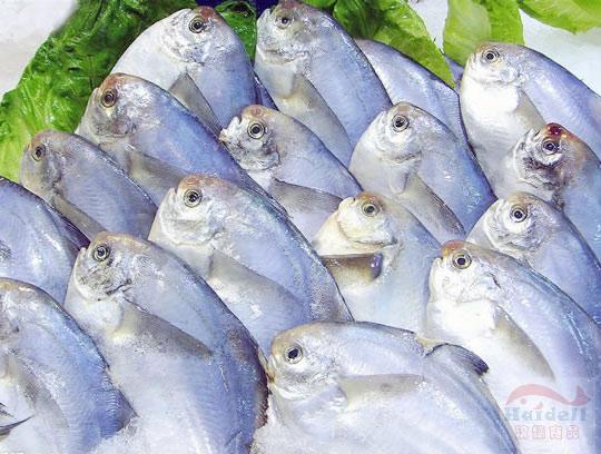 鯧魚