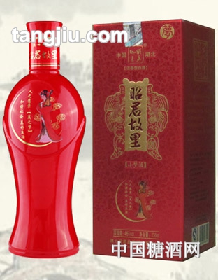 昭君故里酒小夢(mèng)酒