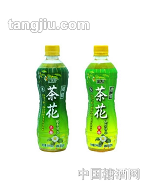 黑松油切茶花無(wú)糖(綠茶)-500ML