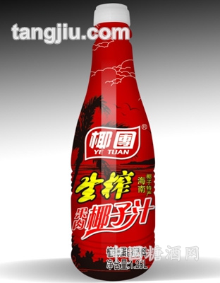 椰團(tuán)果肉椰子汁1.25L