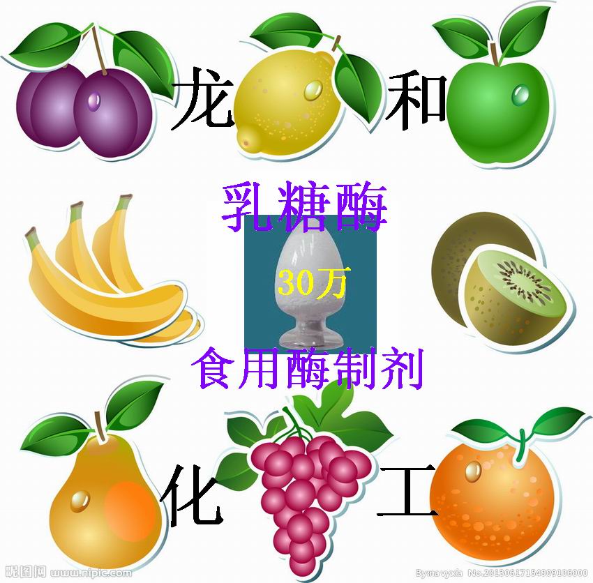 供應(yīng)食品級(jí)乳糖酶 1公斤起訂包郵