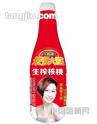 升級(jí)版強(qiáng)大腦生榨核桃乳500ml