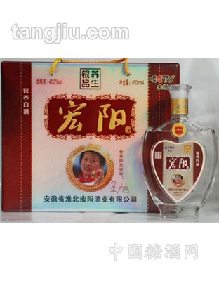 宏陽酒450ml養(yǎng)生銀品