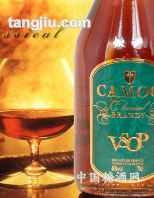 VSOP-CAMOOm