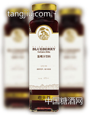 名典主題藍莓420ml