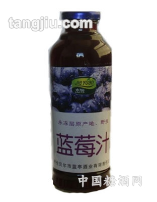 藍(lán)莓野果汁（圓瓶）420ml