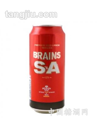 Rơ-Brains-SA