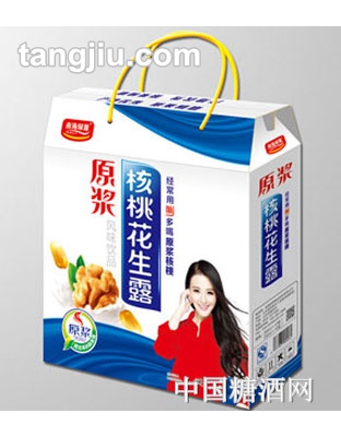 南海綠源原漿核桃花生露風(fēng)味飲品