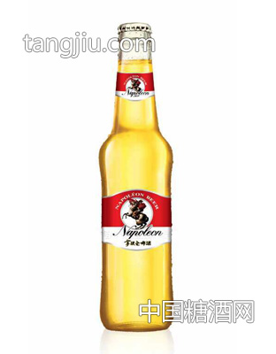 拿破侖啤酒玻璃瓶裝啤酒1