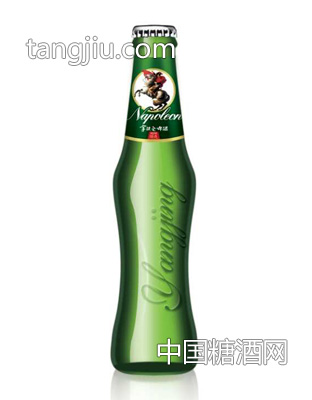 拿破侖啤酒玻璃瓶裝啤酒3