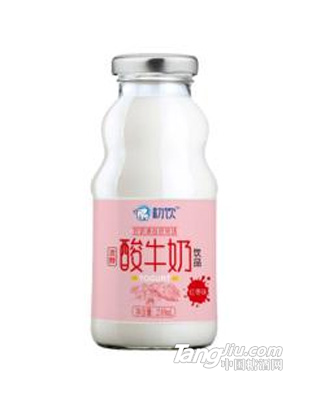 初飲 紅棗味發(fā)酵酸牛奶 乳飲品248mL