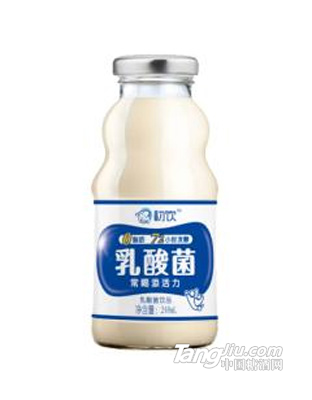 初飲 乳酸菌乳飲品248mL