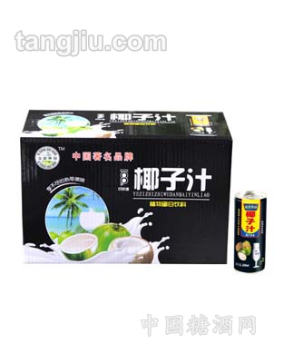 椰子汁240ml