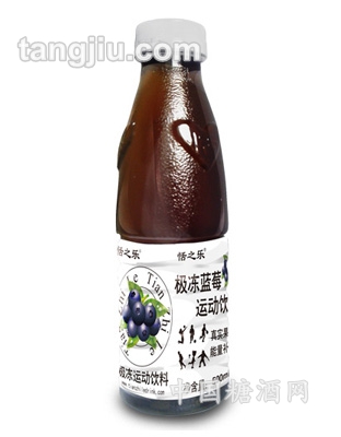 極凍藍莓運動飲料500ml