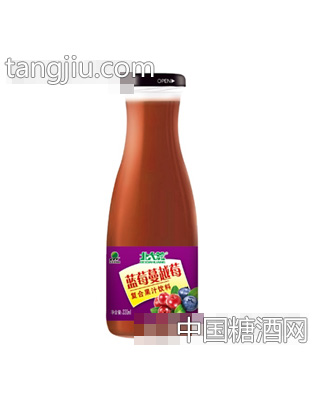 北大荒藍(lán)莓蔓越莓復(fù)合果汁飲料330ml