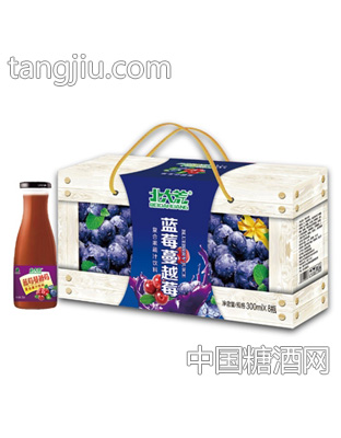 北大荒藍(lán)莓蔓越莓復(fù)合果汁飲料300mlx8瓶