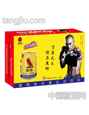 魔師維生素運(yùn)動(dòng)飲料250mlX24