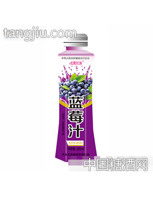 懷康樂(lè)源藍(lán)莓汁500ml