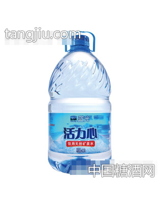 活力心4.5L