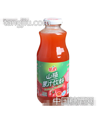 山楂汁飲料490ml