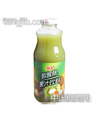 獼猴桃汁飲料490ml