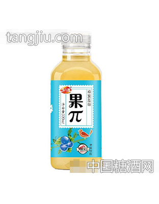 今六源果π蜂蜜藍(lán)莓果味飲料500ml