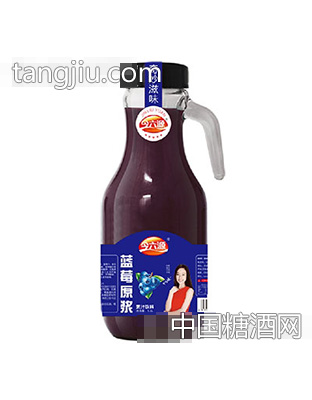 今六源藍(lán)莓原漿果汁1.5L