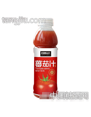 阿娜爾汗番茄汁飲料500ml