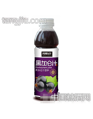 阿娜爾汗黑加侖汁飲料500ml