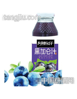 阿娜爾汗黑加侖汁250ml