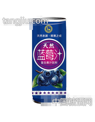 匯之果天然藍(lán)莓汁240ml