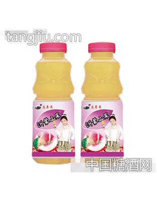 沂蒙山果水蜜桃汁500ml