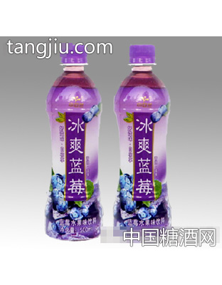 小白蘭冰爽藍(lán)莓果汁500ml