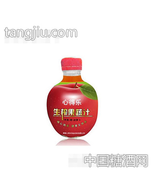 心得樂生榨果蔬汁300ML（紅）