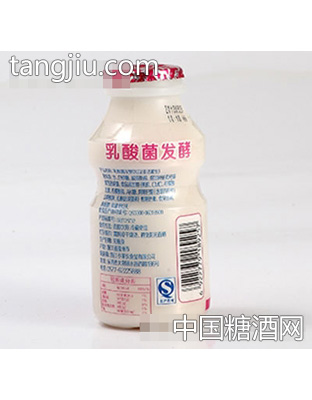 小家伙100ml乳酸菌瓶