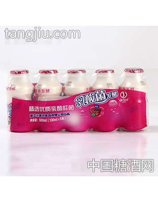 小家伙乳酸菌100ml