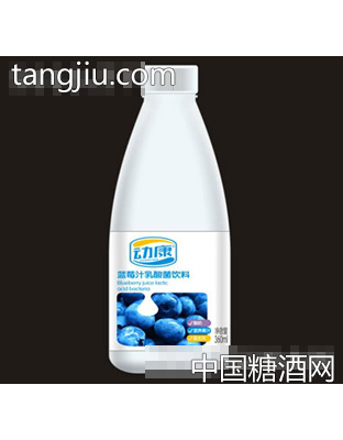 動(dòng)康藍(lán)莓乳酸菌飲料360ML