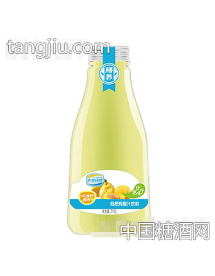 天地動(dòng)康310ml枇杷燉梨汁飲料