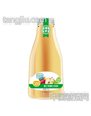 天地動(dòng)康310ml果丁蘋(píng)果汁飲料