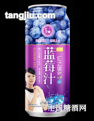 匯之果藍(lán)莓汁飲料960ml