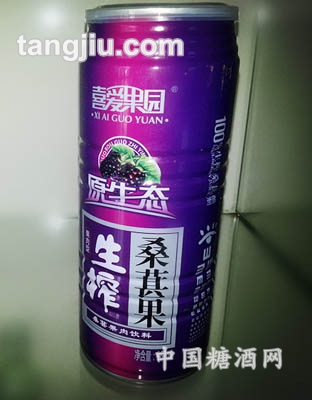 245毫升-易拉罐-桑葚果汁