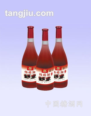 仙居生態(tài)楊梅酒精釀750ml